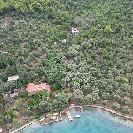 Apartment Kod Jadranke Šipanska Luka Exteriér fotografie