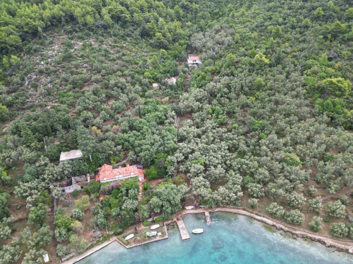 Apartment Kod Jadranke Šipanska Luka Exteriér fotografie