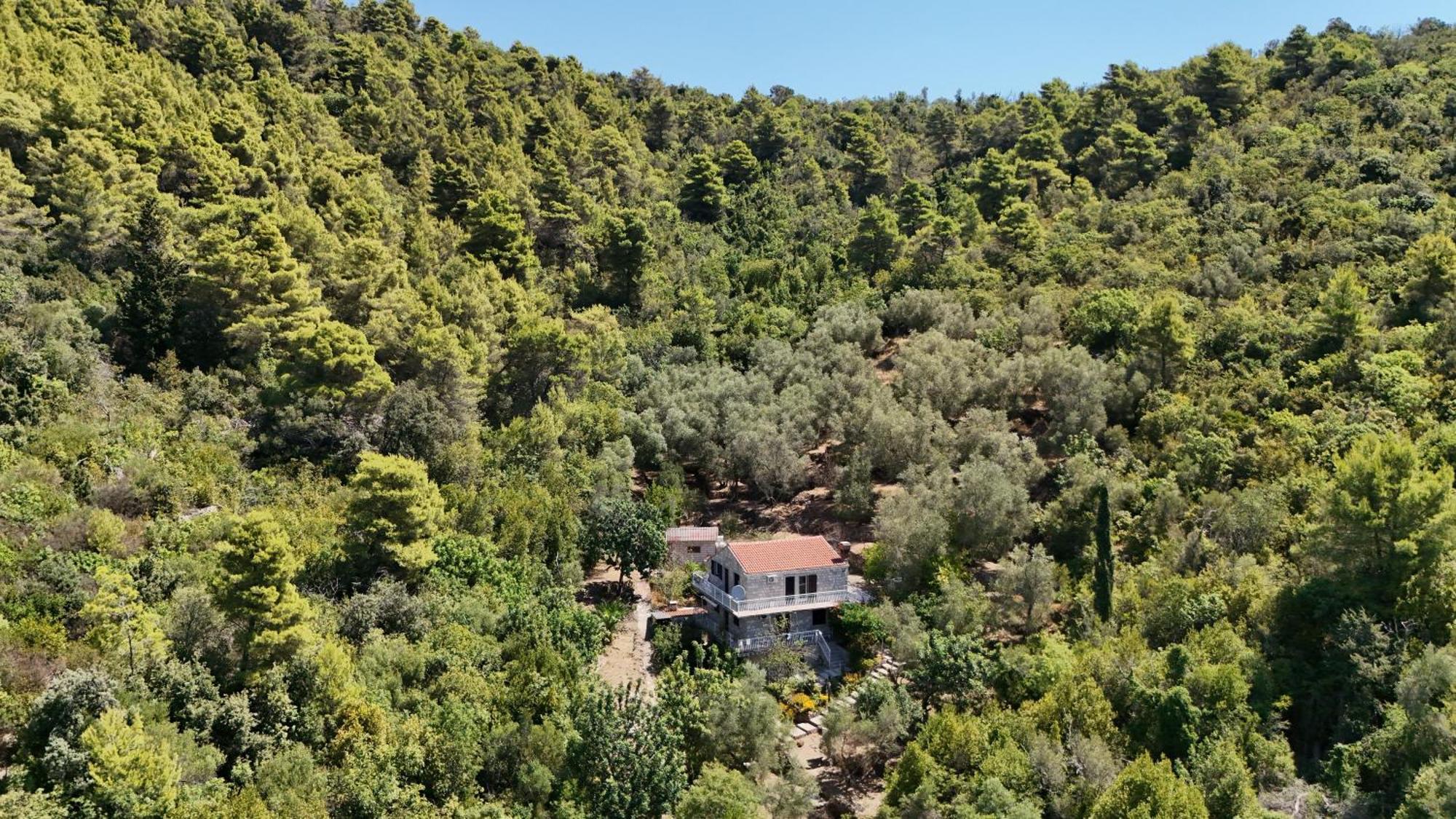 Apartment Kod Jadranke Šipanska Luka Exteriér fotografie