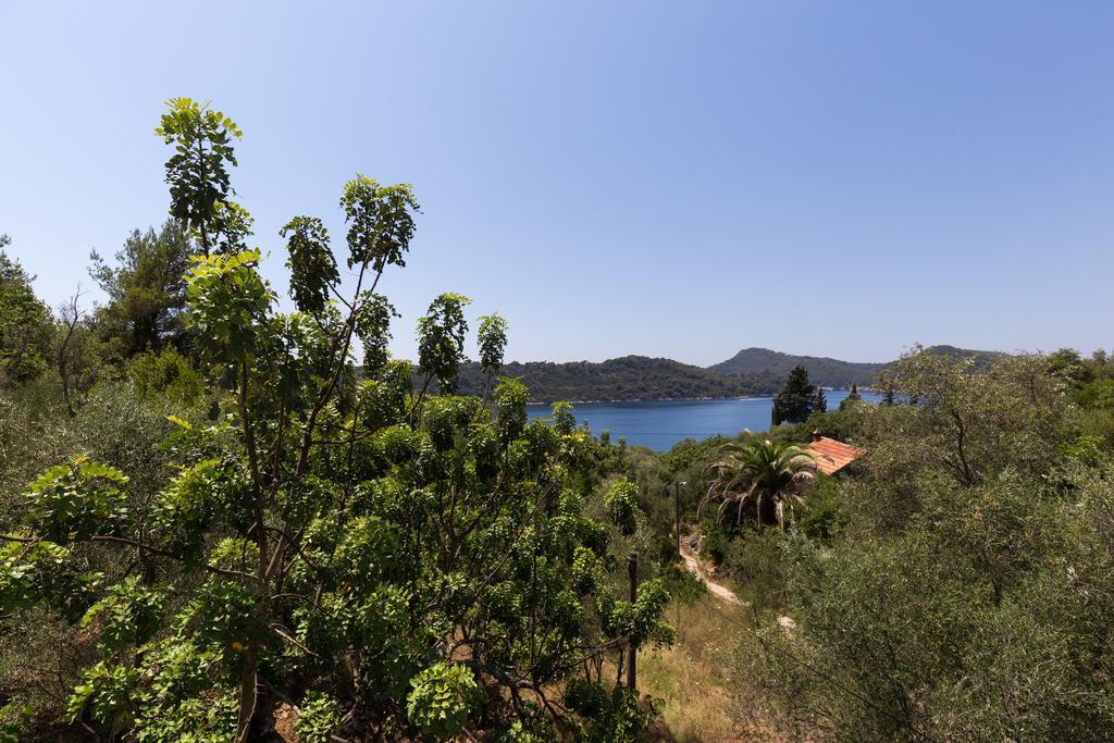 Apartment Kod Jadranke Šipanska Luka Exteriér fotografie